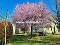 Casa Indipendente Faenza (RA) Campagna Valle 